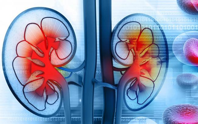 Пробиотики: модный миф или ключ к здоровью?