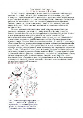 Цитоплазма. функции цитоплазмы. строение цитоплазмы.