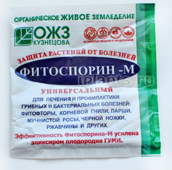 Фитоспорин – как не допустить ошибок при применении