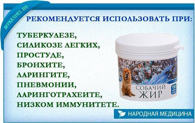 Собачий жир: применение, польза и вред