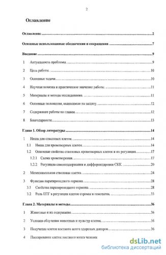 Что такое стволовые клетки и зачем они нужны?