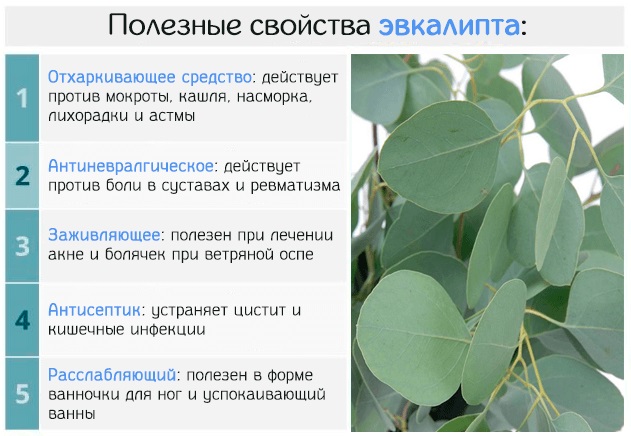 Пиносол. почитайте, очень интересно )