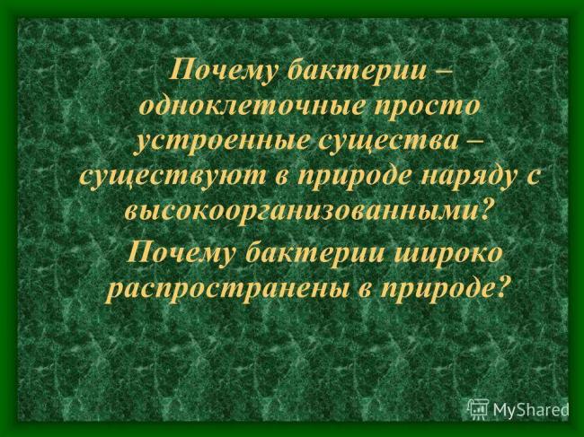 Урок биологии в 6 классе "распространение бактерий. значение бактерий в природе и жизни человека"
