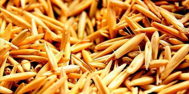 Овес с молоком от кашля