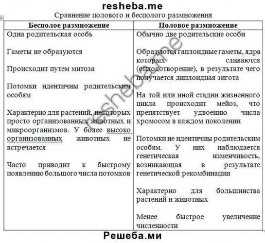 Характеристика основных групп микроорганизмов — студопедия