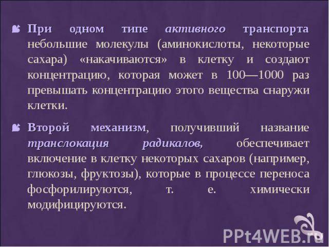 Информация о бактериях паразитах