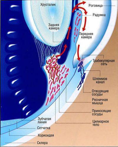 Азопт - инструкция по применению