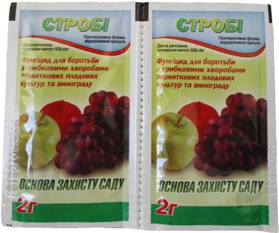 Как применять препарат Строби, инструкция по применению