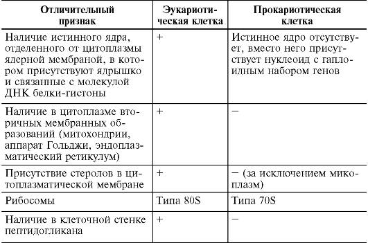 Как соотносится строение бактериальной клетки и ее функции