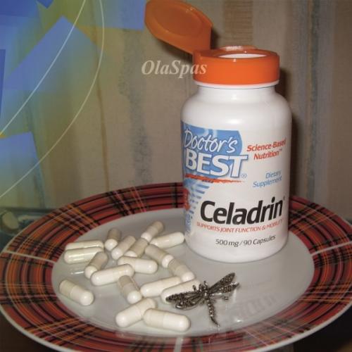 Целадрин (celadrin) — новая добавка для здоровья суставов: свойства и назначение