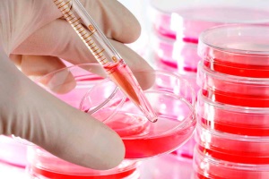 Иммуноглобулин человека антистафилококковый (human antistaphylococcus immunoglobuline) инструкция по применению