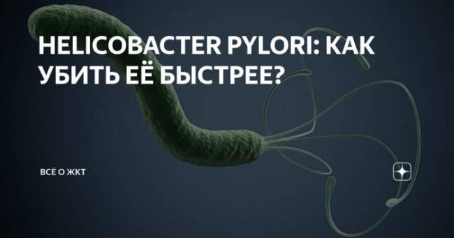 Проще посчитать звезды на небе, чем количество бактерий в кишечнике