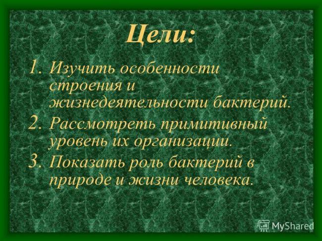 Урок биологии в 6 классе "распространение бактерий. значение бактерий в природе и жизни человека"