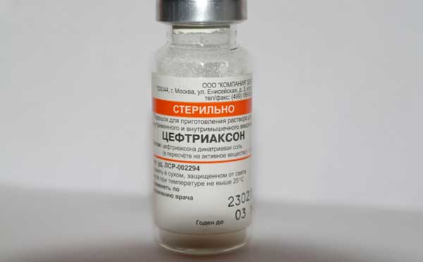 Цефтриаксон при пневмонии: сколько дней колоть, дозировка