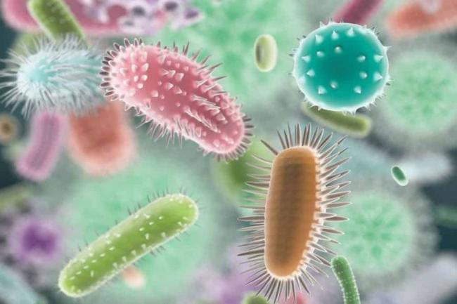 Почему антибиотики не помогают? супербактерии несут новую опасность