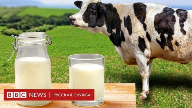 Состав грудного молока | материнство - беременность, роды, питание, воспитание