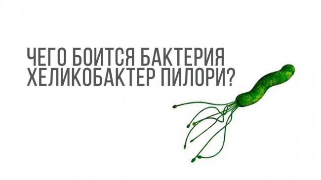 Почему лечение от хеликобактера вредно для здоровья - часть 2