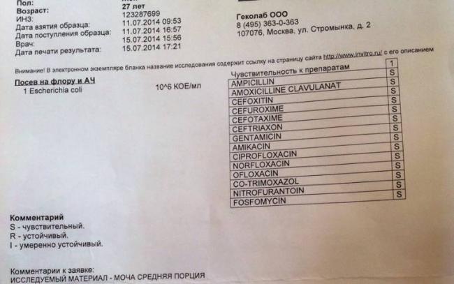 Бактерии в моче. - запись пользователя дарина (id2556585) в сообществе благополучная беременность в категории анализы - babyblog.ru
