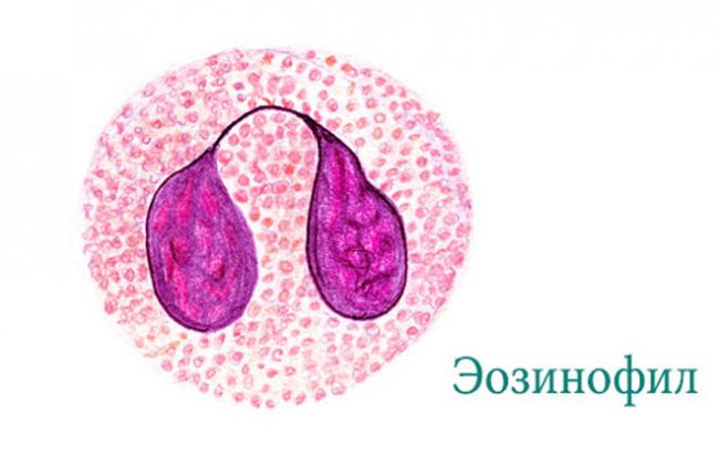 Почему повышены эозинофилы в крови у ребенка