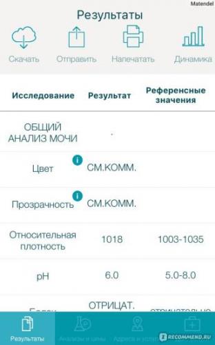 Бактерии в общем анализе мочи