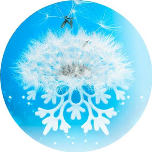 Как понять что это аллергия или простуда