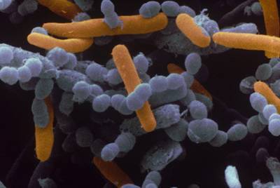 Карта сайта