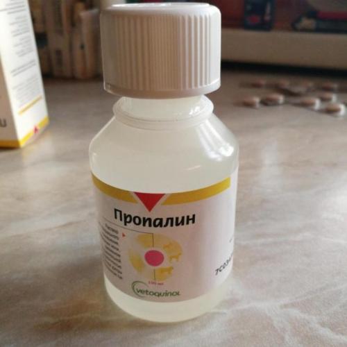 Насколько полезен пропалин для собак?