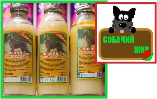 Собачий околопочечный жир при болезнях лёгких