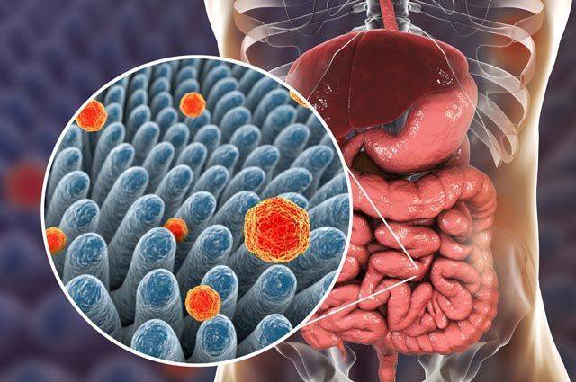 Какой вред могут нанести бактерии организму человека