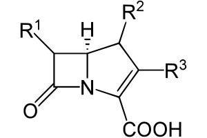 Зачем нужны и чем опасны бактерии для желудка