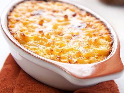 Собачий жир: применение, польза и вред