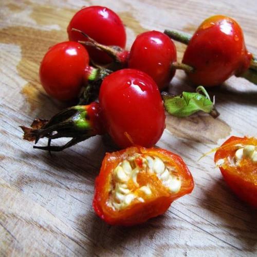 Укол аскорбиновой кислоты при простуде сколько раз в день