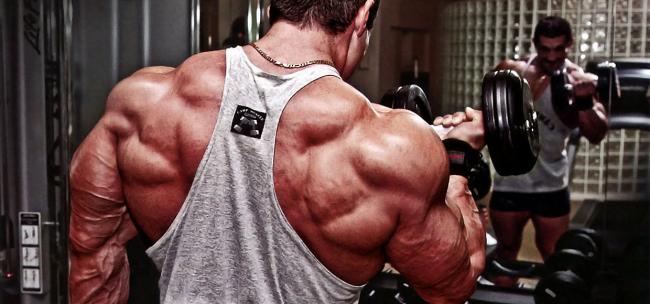 Питание для набора мышечной массы