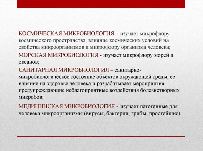 Кишечная палочка, бифидобактерии, лактобактерии — основа микрофлоры кишечника