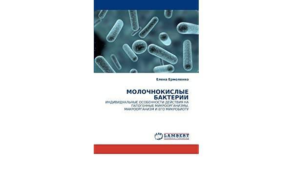 Кишечная палочка, бифидобактерии, лактобактерии — основа микрофлоры кишечника