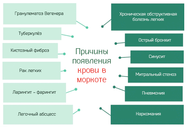 Мокрота с кровью при бронхите