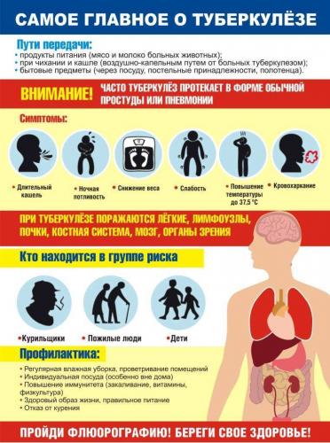 Изониазид: лечение и профилактика туберкулёза