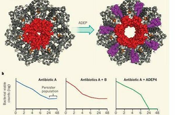 Антибиотик – главный враг бактерий