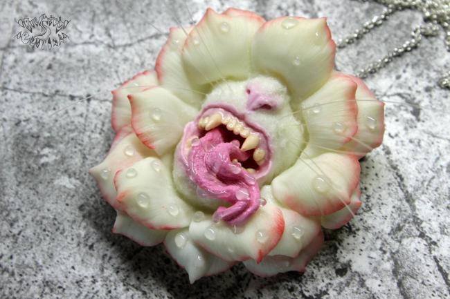 Симбиотические бактерии - symbiotic bacteria