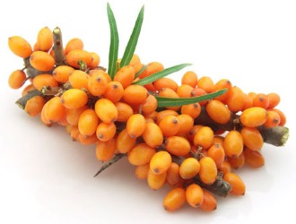 Свечи с облепиховым маслом в гинекологии, проктологии. для чего назначают, свойства. названия, цены