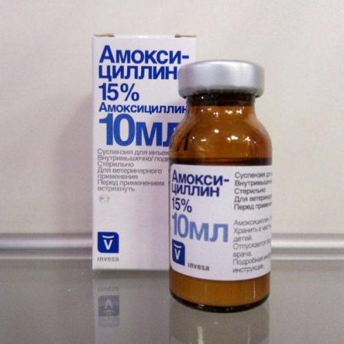 Амоксициллин для кошек инструкция по применению