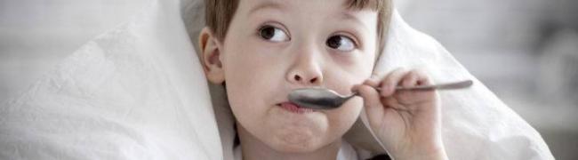 Собачий жир: применение, польза и вред