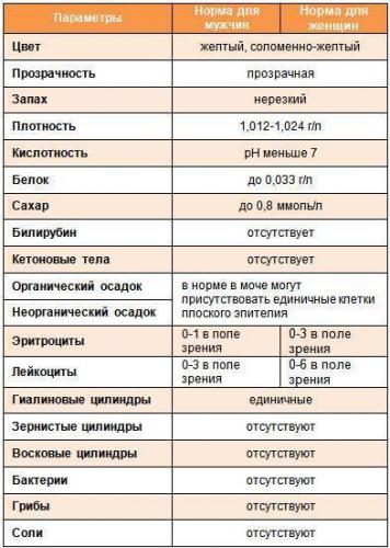 Общий анализ мочи: правила сбора, показатели и расшифровка результатов