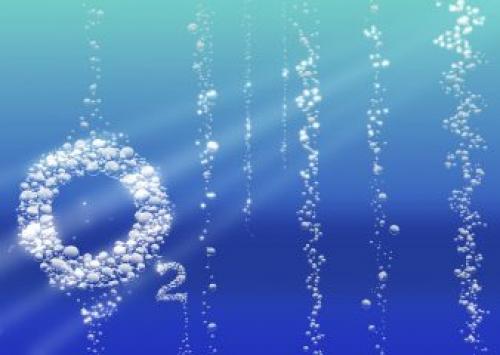 13 научных фактов о вреде энергетиков. отзывы учёных и врачей