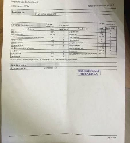 Бактерии в моче у мужчин: что это значит, причины, лечение