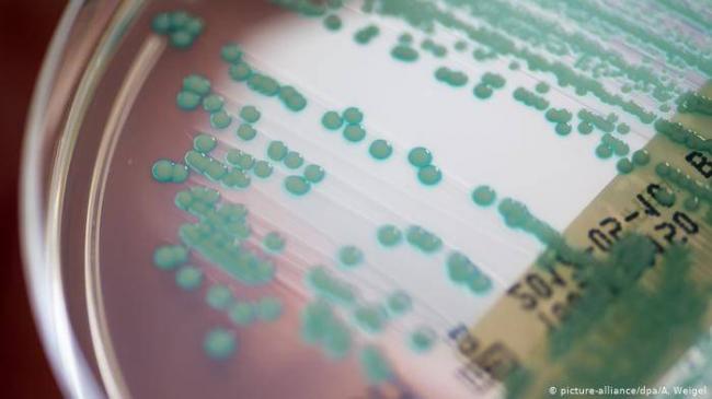 Как наука борется с бактериями, устойчивыми к антибиотикам — российская газета