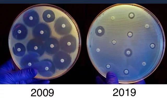 Вред от антибиотиков