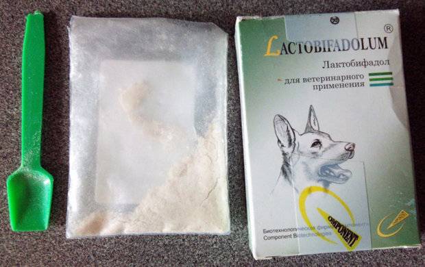 Лактобифадол для собак