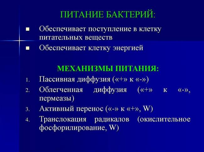 Бактерии-паразиты и их взаимодействие с окружающим миром