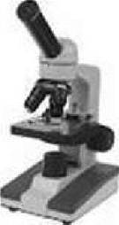 Нарисуем невидимое, или методы окраски микроорганизмов